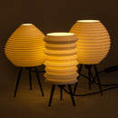 Nara + Kyoto + Tokyo