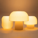 Boluda + Cogumelo G + Cogumelo P